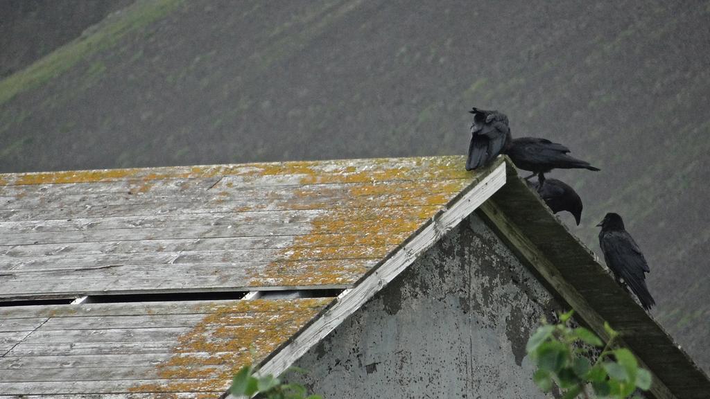 Esjan Villa Kjalarnes Luaran gambar
