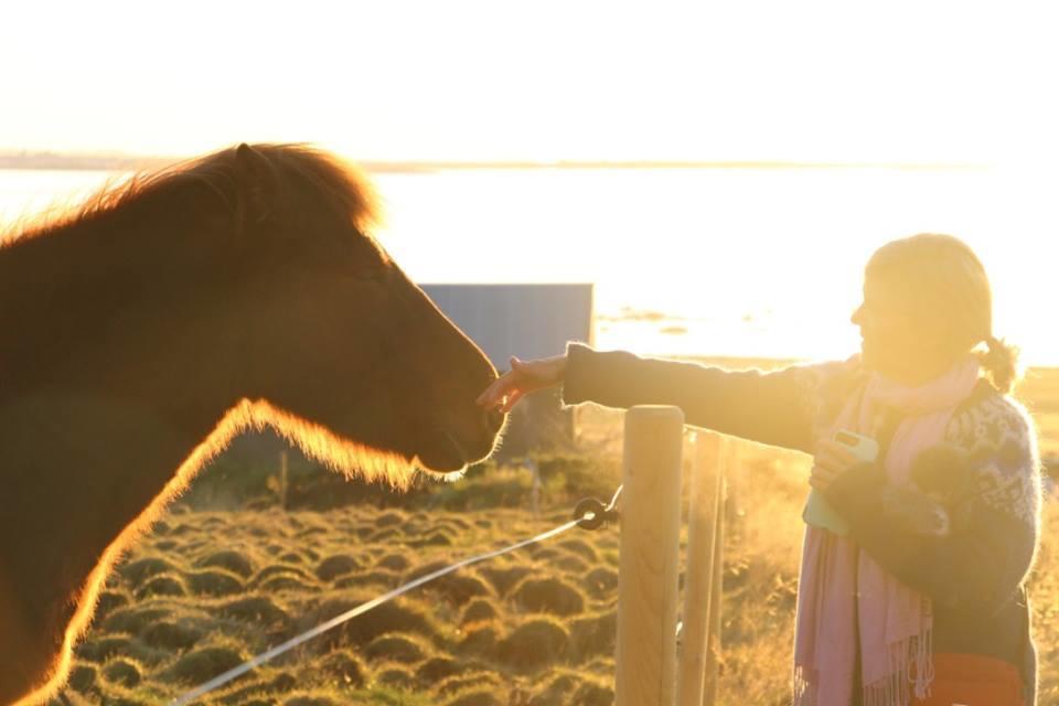 Esjan Villa Kjalarnes Luaran gambar